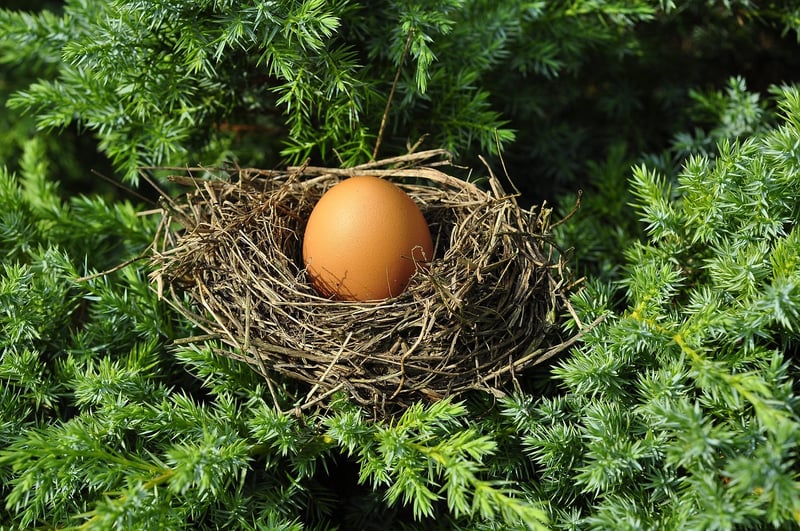 Griffin's Nest Sanctuary